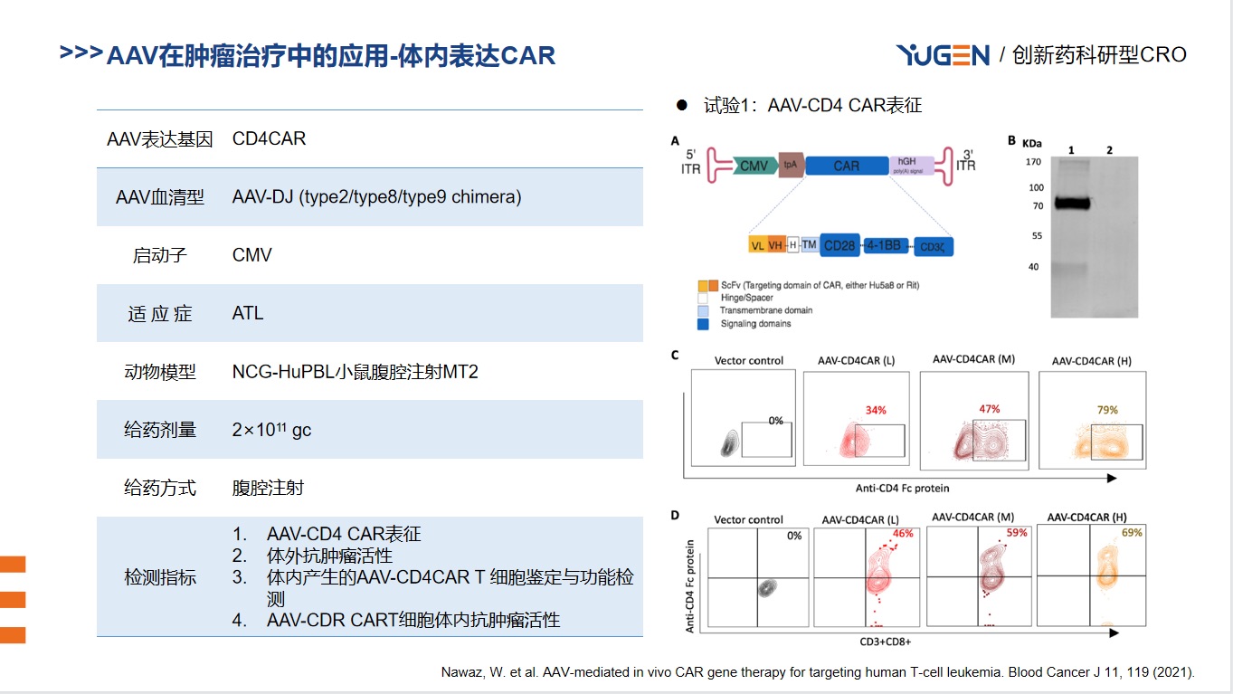 ab796bd4-385f-43b5-98f4-4c1be9cb84d4.jpg